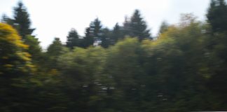 Round 7 : Estre/Christensen imposent la Porsche/Manthey Racing