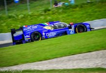 Pas de présence Abarth aux côtés de Cetilar Villorba Corse