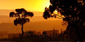 12H Bathurst : un record de 40 GT (34 GT3) au départ !